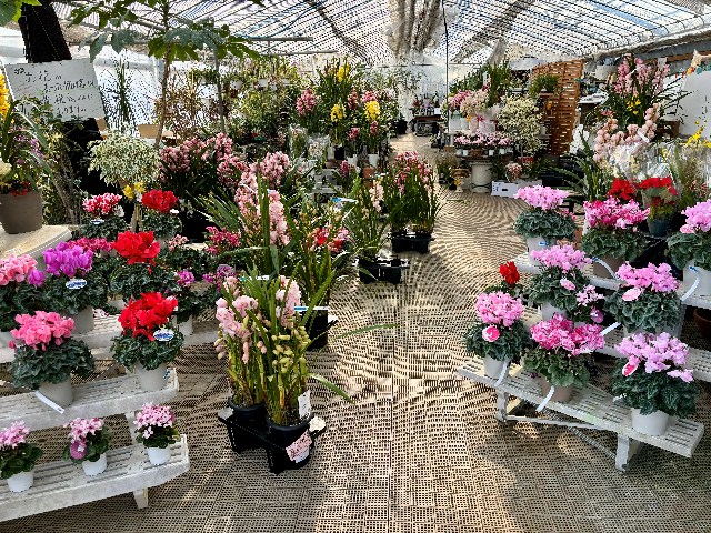 画像の説明 画像の説明